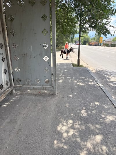 In Dachi, Kazakhstan, a woman wearing an orange shirt and a white cap is riding a donkey on a sidewalk next to a road. The donkey is dark brown. Behind the woman and donkey, a tree casts dappled shadows on the sidewalk. The road is paved and appears to be a multi-lane highway with vehicles in the distance, including trucks. To the left of the scene is a bus stop shelter with a metal frame and perforated panels. The ground is asphalt. The sky is partly cloudy.