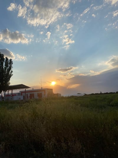 The image depicts a sunset over a grassy field near a building with an awning and a tall tree on the left. The sky is partly cloudy with sunbeams radiating through the clouds. The building appears to be industrial or commercial, with red and white accents. The field is overgrown with tall grass and some scattered yellow wildflowers. The overall scene suggests a rural or semi-rural setting, possibly on the outskirts of Dalar, Armenia.