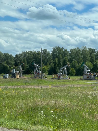 The image depicts an oil field with multiple pumpjacks in operation, set against a backdrop of lush green trees and a cloudy sky. The pumpjacks, characteristic of oil extraction sites, are positioned in a row, with their mechanical arms rhythmically moving. The foreground is dominated by a field of tall, wild grass interspersed with wildflowers. A dirt road or track is visible behind the grass. In the distance, a dense line of trees forms a natural border. A utility pole with power lines stretches across the upper portion of the frame, suggesting the presence of infrastructure. The scene is indicative of industrial activity within a natural landscape, likely located in or near the city of Bavly, Russia, an area known for its oil production. There are no individuals clearly visible in the image.