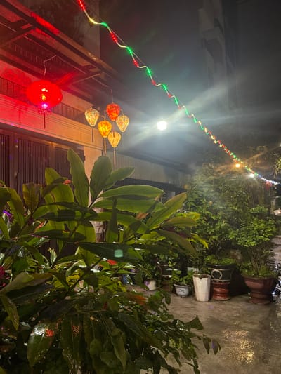 The image depicts an illuminated outdoor pathway at night in Ngũ Hành Sơn Ward, Vietnam, likely after rainfall, given the wet surfaces. In the foreground, large-leafed green foliage with visible water droplets occupies the lower left. Above this, a large red spherical lantern hangs to the left of a cluster of five smaller, decorative lanterns displaying orange and yellow hues. A string of multicolored (red, green, white) LED lights extends diagonally across the upper frame, stretching from the left building facade towards the distant right, with several individual lights emitting bright white illumination. A dark building facade with a gate or door is visible behind the lanterns on the left. The paved ground, wet and reflective, leads past numerous potted plants of varying sizes and types arranged along the right side, receding into the dimly lit background where another building is faintly visible. No individuals, actions, or interactions are present.