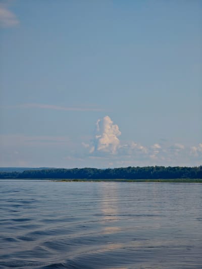 The image depicts a wide river under a clear blue sky with scattered clouds. A dense green forest lines the distant bank of the river. The foreground shows the rippling surface of the water, with gentle waves catching the sunlight. There are no people or man-made structures visible in the scene. The location is identified as Novonazimovo, Russia.