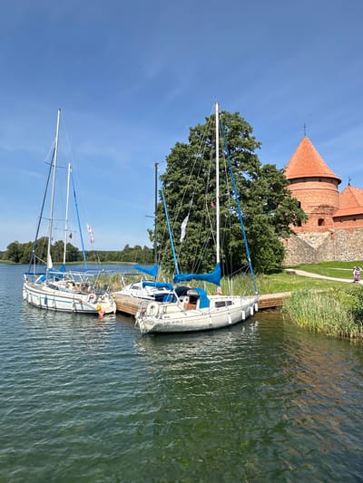 The image captures a scenic view of Trakai Island Castle in Trakai, Lithuania, on a clear, sunny day. Three sailboats are moored at a wooden dock on the left side of the frame. The closest sailboat on the right has "GURU" and "TU 1252" visible on its hull. The water is a greenish-blue, with ripples reflecting the sunlight. Tall green reeds line the edge of the water in front of the castle. Behind the boats, a large, leafy green tree dominates the landscape. To the right of the tree, the iconic red-roofed Trakai Island Castle, constructed of brick and stone, stands prominently. A pathway is visible in front of the castle walls, and two people are walking along it in the distance. The sky above is a vibrant blue with a few small birds in flight.