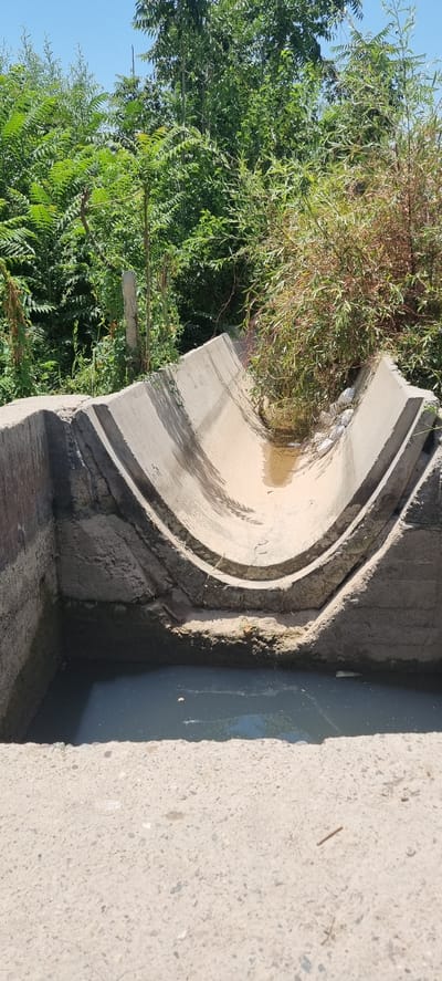 A concrete water channel, likely a drainage ditch or culvert, is depicted in a sunny outdoor environment. The channel is U-shaped and has a rough texture with visible construction lines. Water is present at the bottom of the channel, appearing somewhat murky. To the right of the channel, there is dense green foliage and some dry branches. In the background, more trees and lush green vegetation are visible against a clear blue sky. The scene appears to be located in a rural or semi-rural area, possibly on the outskirts of a settlement. The image does not contain any people or overt signs of human activity beyond the constructed channel itself.