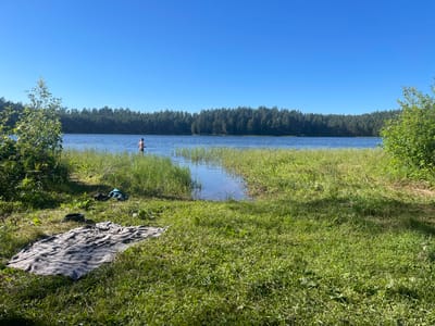 A wide shot captures a serene lake scene under a clear, bright blue sky, suggesting a sunny day, likely in the morning or afternoon. The foreground is dominated by lush green grass, with a striped blanket laid out on the ground to the left, next to some dark-colored shoes and a blue garment. The grass slopes gently towards the water's edge, where tall reeds and other aquatic plants create a natural barrier.
In the middle ground, a person, appearing to be a young male, stands in the shallow water, facing away from the camera. He is dressed in dark shorts. The water is calm and reflects the blue sky. Beyond the person and the reeds, the lake stretches out, meeting a dense, dark green forest that forms the distant shoreline. The trees are tall and appear to be pine or fir, indicating a temperate forest environment. The overall impression is one of tranquility and an invitation to enjoy the natural beauty of the location. The setting evokes a sense of peaceful solitude and outdoor recreation. No visible text is present in the image.
