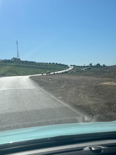 The image shows a view from inside a vehicle, possibly a car, looking out onto a road and surrounding landscape. The location appears to be near Mrhassiyine, Morocco, as the setting is rural with sparse trees and fields alongside the road. A construction crane is visible in the distance. On the other side of the road, there are several bales of hay (or similar agricultural product) are positioned, suggesting some type of agricultural or harvesting activity. The sky is clear and blue. The inside of the vehicle is visible, with a window and door frame in view, suggesting the perspective is from within.