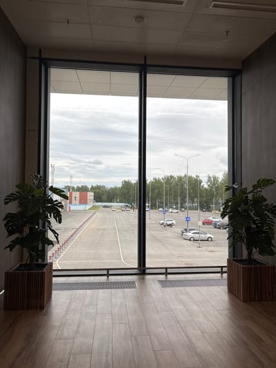 The image shows a view through a large window from inside a modern building. The interior features dark gray walls and a wooden floor. In the foreground, on either side of the window, are large potted plants in wooden planters. A metal grate is visible on the floor in front of the window.

The view outside reveals a large paved area, likely a parking lot or tarmac, with several cars parked. A row of bollards with red and white markings separates the paved area from a road. In the middle ground, there are buildings with brick and blue siding, and utility towers. Trees line the far edge of the paved area, suggesting the location is near a green space. The sky is overcast with clouds.

This scene appears to be located at or near the Starye Martyanovo Airport in Старое Мартьяново, Russia, given the presence of tarmac, parked vehicles, and industrial-looking buildings. There are no people visible in the image.