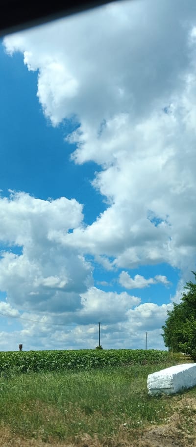 The image shows a bright, sunny day with a blue sky filled with fluffy white clouds. In the foreground, there is a grassy field with some dried grass and wildflowers. To the right, a white concrete object is partially visible, lying on the grass. In the middle ground, a lush green field stretches across the horizon, possibly a crop of soybeans. There are two tall, thin poles with wires strung between them running horizontally across the field. A small, dark brown structure resembling a water tower or a small silo stands in the far left of the green field. A portion of a green tree is visible on the far right edge of the image. The scene appears to be in an open, rural area, consistent with the outskirts of Mala Smilyanka, Ukraine.