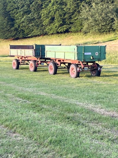 This is a landscape, eye-level, medium shot of two tandem agricultural trailers parked on a grassy field in Wiera, Germany. The trailers are side-by-side, with the front trailer having a brown top portion and the rear trailer being entirely green. Both trailers have red metal frames and large black tires with red rims. In the background, a dense line of green trees borders the field, with a gentle slope leading up to them. The lighting suggests it is late afternoon, with warm sunlight casting shadows on the grass. There are no people or animals visible in the image. The overall impression is one of rural stillness.
