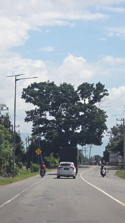 A road in Kruet Teumpeun, Indonesia is shown, with a large green tree on the left side of the road. A white car is driving down the road, followed by a motorcycle with a person wearing a red shirt and helmet. In the distance, several more motorcycles are visible. The sky is blue with white clouds. Utility poles line the road.