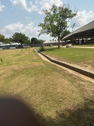 The image displays an outdoor environment in Ozuaha, Nigeria, under a bright sky with scattered cumulus clouds. The foreground consists of a large area of dry, light-green to brown grass, with a concrete drainage channel extending from the lower-middle towards the mid-right. A dark shadow occupies the lower-left portion of the frame.
In the mid-ground, a mature tree with green foliage and some visible bare branches stands prominently. To its right, a large open-sided structure with a corrugated metal roof is visible, under which numerous individuals are gathered. These individuals, predominantly dressed in light-colored and traditional garments, appear to be seated or standing in rows, facing generally away from the camera. A few individuals are observed walking in the grassy area adjacent to the structure. A black pole supporting a modern street light is positioned near the gathering.
The background features a perimeter fence, beyond which several single-story buildings with varying roof types and colors are visible, interspersed with additional trees. The scene suggests a communal area hosting an event.