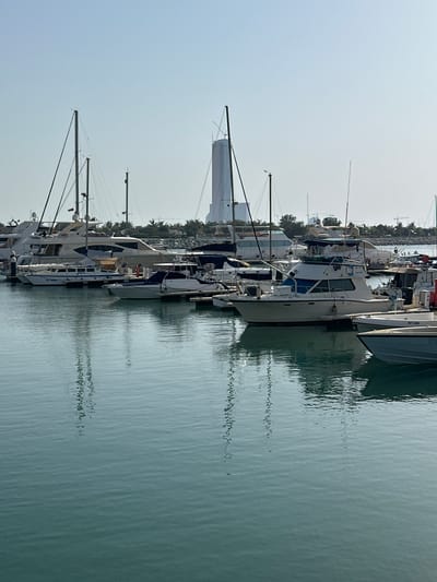 This media file captures a serene marina scene in the United Arab Emirates, likely at Al Jazeerah Heritage Village. The image is oriented vertically, showcasing a line of moored boats on the right, gently rocking in calm, teal-colored water. The reflections of the boats and their masts create elongated, wavy patterns on the water's surface.
The boats are varied, with several motor yachts and at least one sailboat visible. They are predominantly white with blue accents, and some have dark-colored hulls. One boat has "Le Grand" written on its side. The masts of the sailboat are tall and extend towards the pale sky, adorned with rigging.
In the background, beyond the boats, a line of palm trees and lush vegetation suggests a tropical or subtropical environment. Further in the distance, a tall, modern building can be seen, contrasting with the traditional feel implied by the "heritage village" location. The sky is bright and hazy, indicating it is likely daytime, possibly morning or late afternoon, with the sun's glare softening the details. The overall mood is peaceful and tranquil, evoking a sense of calm by the water. There are no people directly visible in the frame, focusing the viewer's attention on the static beauty of the docked vessels and the interplay of light and water.