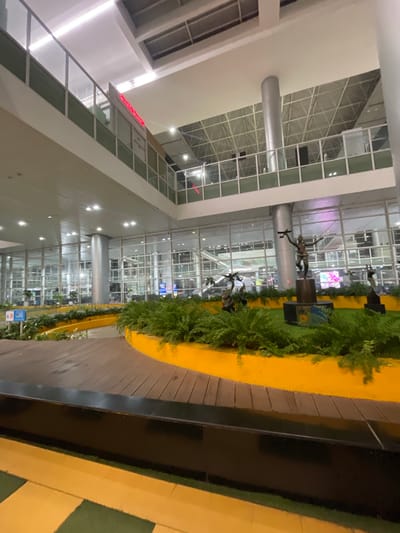 The image captures an interior view of a modern building, likely an airport terminal, with a distinctly industrial and spacious design. The architecture features high ceilings with exposed metal frameworks and vast expanses of glass windows that allow natural light to flood the space. Large cylindrical columns support the upper levels, which are also visible with glass partitions and railings.

In the foreground, a curved wooden walkway leads the eye into the scene. This walkway is bordered by a vibrant yellow structure, which in turn surrounds a lush, green garden area filled with dense foliage. Within this garden, several bronze sculptures are prominently displayed. The central sculpture depicts a human figure holding what appears to be an airplane model aloft, symbolizing flight or travel. Two smaller sculptures, one resembling a bird and another a deer-like creature, flank the central piece.

The background reveals the interior of the terminal, with rows of glass windows looking out onto an unseen area, possibly a concourse or an outdoor space. Several digital screens are visible, displaying colorful graphics. Lighting fixtures are integrated into the ceiling, providing illumination. The overall impression is one of a well-maintained, contemporary public space designed for transit and designed to be aesthetically pleasing. The scene lacks any discernible individuals, making it a depiction of the environment itself rather than an interaction between people. The location is specified as Raipur Khurd, India.