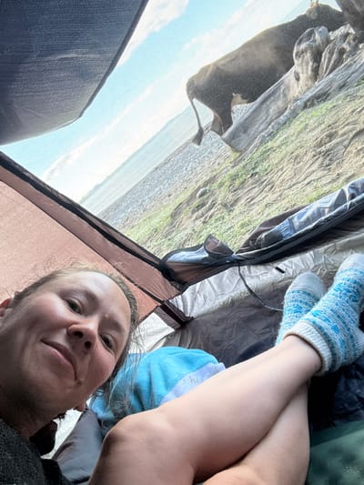 A selfie taken from inside a tent shows a person's face, legs, and feet. The person is lying down, with their head to the left and their feet towards the right of the frame. They are wearing fuzzy blue and white patterned socks. A blue towel is visible behind their legs. Outside the tent, a large dark-colored cow is standing on a rocky, grassy slope. The sky is visible in the background, with some clouds. The location is Mgudzyrkhwa, Abkhazia.