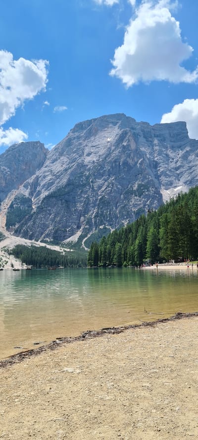 The image depicts a scenic view of Lago di Braies (Pragser Wildsee) in Prags - Braies, Italy. The foreground consists of a sandy and pebbly shoreline, with some scattered driftwood. The lake itself is a prominent feature, with its clear, greenish-blue water reflecting the surrounding landscape. Several small boats are visible on the water, some with people in them.

In the midground, a dense forest of pine trees lines the edge of the lake, creating a vibrant green contrast against the water and mountains. Beyond the forest, a magnificent, rugged mountain dominates the background. The mountain's rocky slopes are textured and show signs of erosion, with patches of lighter rock and some scattered vegetation. The sky above is a clear blue, dotted with fluffy white clouds.

On the sandy area near the treeline, a group of people are scattered, some walking along the shore, others appearing to be enjoying the beach area. Their presence adds a sense of scale and activity to the otherwise natural landscape. The overall scene conveys a peaceful and idyllic atmosphere, characteristic of a popular natural destination.