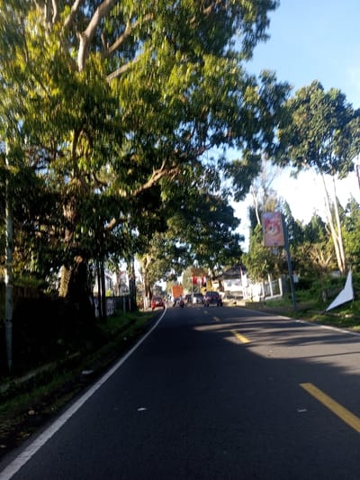 The image depicts a two-lane asphalt road in the city of Khouathineung, Laos, viewed from a low perspective. The road surface is dark, with a solid white line marking the left edge and a partial yellow dashed line visible on the right. Overhead, a dense canopy of large, leafy green trees shades a significant portion of the road, particularly on the left. Sunlight filters through the foliage, creating bright highlights and casting shadows across the asphalt.
Along the left side of the road, a vegetated embankment and a visible concrete barrier or wall border the path. In the mid-ground, several vehicles, including red and dark-colored cars and motorcycles, are observed moving away from the viewer on the road. Buildings and structures with light-colored facades are discernible through and beyond the trees on both sides of the road in the distance.
On the right side of the road, further down, a vertical billboard with an unidentifiable orange-brown graphic is prominent. Nearby, a white, triangular object is positioned on the ground. The sky is clear and blue, visible through gaps in the tree canopy. The scene conveys bright daylight conditions.