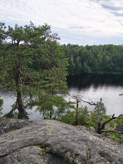 The image depicts a tranquil natural scene overlooking a dark lake. In the foreground, a large, weathered granite rock formation, partially covered in moss and lichen, dominates the lower portion of the frame. The rock is textured with crevices and rough surfaces, suggesting a long history of exposure to the elements. Growing from the rock and on its edges are several hardy pine trees with gnarled branches and dense green needles. One particularly prominent pine tree on the left showcases its distinctive, twisted branches reaching towards the water.
Beyond the rocky outcrop, the dark, rippling surface of a lake stretches towards a dense line of coniferous trees that form the far bank. The water reflects the overcast sky, creating a shimmering, silvery effect on its surface. The forest on the far bank appears lush and vibrant, with a multitude of green hues. The sky above is a mix of white and gray clouds, suggesting a slightly overcast but calm day.
The scene evokes a sense of untouched nature and a peaceful, secluded atmosphere. While the image itself does not provide specific clues about a location within Norrköping, Sweden, it is representative of the many natural lake and forest landscapes found in the region, which often feature similar rocky terrain and pine forests.
