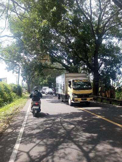 The image captures a daytime scene on a multi-lane asphalt road in Niz Lakuk, India, under a dense canopy of large, mature trees. A single person, wearing a black jacket and a black and green helmet, operates a dark-colored scooter with license plate "D 1566 MAL," riding away from the camera in the leftmost visible lane, adjacent to a grassy shoulder marked by a solid white line. To the right of the scooter, a yellow and black Mitsubishi Fuso Canter box truck, featuring "Bunda Rara" on its windshield and advertising graphics on its cargo box (license plate "L 9521 AG" partially visible), moves towards the camera in an opposing lane. Beyond these vehicles, additional cars and motorcycles are present, indicating traffic. The road surface is heavily patterned with distinct, elongated shadows from the overhead tree branches. A partial sign displaying "WARUNG" is visible on the far left, and a metal guardrail runs along the far right side of the road. The environment is brightly lit by direct sunlight.