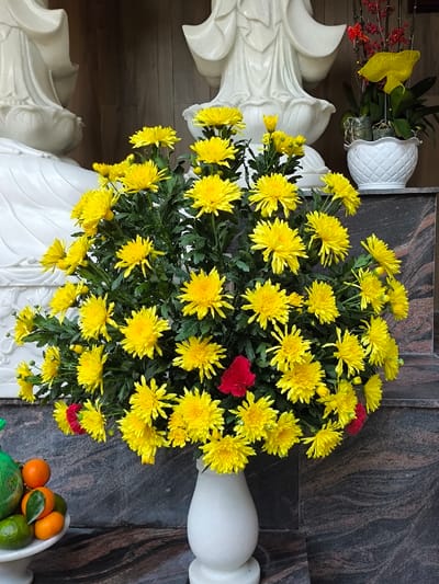 A large, spherical arrangement of vibrant yellow chrysanthemums, interspersed with a few small red flowers, stands prominently in a white, turned marble vase. The vase is positioned on a dark brown, polished granite surface. In the background, the lower sections of two white marble statues, likely depicting Buddhist deities, are partially visible. To the upper right, a white textured pot contains red orchids and a yellow decorative element, also resting on the polished granite. To the lower left, a smaller white marble pedestal holds a green mesh bag containing produce and several loose mandarins and green citrus fruits. The scene depicts a devotional arrangement within what appears to be a religious altar or sacred space in Thành phố Quảng Ngãi, Vietnam.