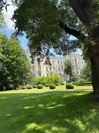 This image depicts a view of Hluboká Castle in Hluboká nad Vltavou, Czechia. The castle, a large white structure with numerous windows and decorative architectural elements, stands prominently in the background. In the foreground, a meticulously maintained green lawn stretches out, dotted with several round, manicured bushes. The lawn is partially shaded by the dappled sunlight filtering through the branches of large trees, one of which is particularly prominent on the right side of the frame. The sky above is blue with scattered white clouds. In the middle ground, a flowerbed with orange flowers adds a splash of color to the landscape. The scene is tranquil and suggests a well-kept park or garden setting adjacent to the castle. There are no people or animals visible in the image.