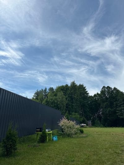 The image depicts a backyard scene on a bright, partly cloudy day, likely in the Гомельскі сельскі Савет, Belarus. A tall, dark gray corrugated metal fence runs along the left side of the frame, extending into the background. In the foreground, a well-maintained green lawn occupies the majority of the space.
To the left of the lawn, near the fence, are two small evergreen trees. Further to the right, a bright green child-sized table and chairs set is visible. On the table are a few small pots, possibly for seedlings. A blue watering can rests on the grass beside the table.
Behind the table and chairs, a flowering bush with light-colored foliage is in bloom. Beyond the bush and to the right, a small wooden shed filled with firewood and what appears to be an abandoned vehicle or piece of machinery are partially visible. A dense line of dark green deciduous trees forms the backdrop of the scene, with a light blue sky filled with wispy white clouds overhead. There are no people or animals present in the image.