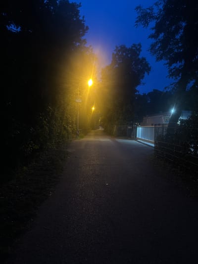 The image depicts a dark asphalt path in Ludwigsburg, Germany, illuminated by a bright streetlamp on the left and a less intense lamp further down the path. The sky is a deep twilight blue. Dense foliage lines the left side of the path, casting dark shadows. On the right, a metal fence runs alongside the path, with a modern, ribbed gate and a building visible beyond it. The scene appears to be a quiet, possibly park-like area or a street in a residential or industrial zone on the outskirts of the city. No people are visible in the frame.