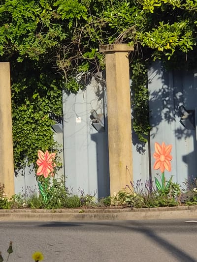 This image shows two decorative, colorful flower cutouts placed in a planter box along a sidewalk. The flowers are a vibrant pink and orange, with green stems and leaves. They are positioned in front of a light blue corrugated metal fence, which is partially covered by lush green ivy. Two large, light brown concrete pillars stand on either side of the fence, suggesting they are part of a larger structure. The scene is illuminated by bright sunlight, casting shadows on the fence. In the foreground, a gray asphalt road is visible, with some small green plants and yellow flowers growing near the curb. The overall setting appears to be an outdoor urban environment. The image was taken in Sanem, Luxembourg.