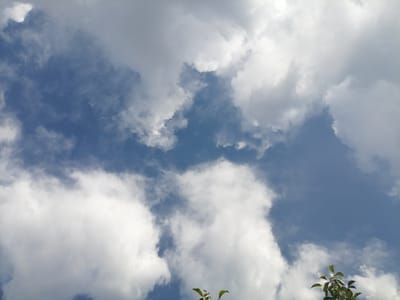 The image shows a clear blue sky with scattered white clouds. In the bottom right corner, there is a small branch with green leaves extending into the frame. The scene is outdoors and appears to be a sunny day. There is no discernible indication of the city of Juma, Uzbekistan, or any people or specific objects that would place it there.