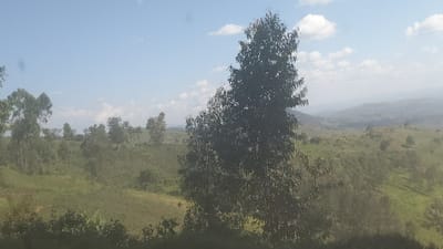 The image shows a lush, green landscape with a large tree in the foreground and rolling hills in the background. The sky is blue with white clouds. The image is likely taken from a hilltop, looking out over the countryside. The landscape is mostly covered in vegetation, with some patches of bare ground. The image appears to have been taken in the Democratic Republic of the Congo near Kayna, specifically at the coordinates -0.644 latitude, 29.175 longitude. There are no people or animals visible in the image.  There is a single large tree in the foreground, with the tree trunk partially obscured by vegetation. There are also several other trees scattered across the image, creating a feeling of depth and distance. The hills in the background are covered in vegetation, and the air is hazy. The horizon line is slightly obscured by a haze.