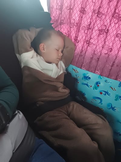 A young child is shown sleeping soundly inside a vehicle, likely a bus, given the window curtain and seat design. The child is dressed in a cozy, two-toned brown and white long-sleeved outfit and appears to be resting against a dark-colored seat or cushion. Their head is tilted slightly to the side, and one arm is bent above their head.
To the right of the child, a bright pink curtain with a swirling pattern is visible, suggesting a window. Below the curtain, there's a blue-green pillow or cushion with various abstract blue and red shapes. Another person's leg, clad in dark green clothing, is partially visible on the left side of the image, implying another passenger nearby. The lighting in the image suggests it could be daytime, possibly with sunlight filtering in. The child's peaceful expression indicates they are deeply asleep. The setting is in Sovkhoza "Pyatiletka", Russia.