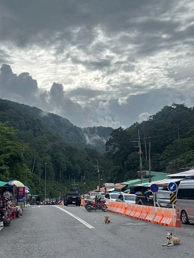 The image depicts a roadside scene in Tambon Wang Prachan, Thailand, with a lush, green mountainside dominating the background. The sky is filled with dramatic, overcast clouds, suggesting a cloudy or possibly rainy day. The foreground shows a paved road lined with parked vehicles, including cars, motorcycles, and what appear to be market stalls. Orange traffic barriers are placed along the roadside.
Two dogs are visible on the road; one is lying down, and the other is standing and looking towards the camera. The market stalls are set up under colorful umbrellas and display various goods, indicating a bustling commercial area. There are several utility poles with wires running along the roadside, typical of urban or semi-urban environments in Thailand.
Visible text includes signs on the market stalls, with one prominently displaying "true 5G BEST" and phone numbers, indicating a mobile service provider promotion. Another sign appears to be a price list or product advertisement. There are also traffic signs, including a blue circular sign with a white arrow pointing left and a red circular sign with a diagonal red bar, possibly indicating restrictions.
The overall impression is a vibrant, if somewhat chaotic, roadside environment in a tropical setting, likely during daylight hours given the visibility, although the heavy cloud cover obscures direct sunlight. The presence of both vehicles and market stalls suggests a busy location, perhaps a thoroughfare or a popular stop.