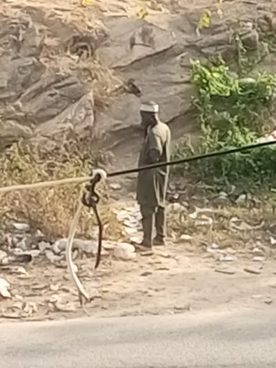 The image displays an outdoor scene in Ebiya, Nigeria. A single male individual stands in the mid-ground, positioned in profile and facing towards the right side of the frame. He wears a muted olive-green, long-sleeved, knee-length garment, dark-colored trousers, dark footwear, and a white cap on his head. His right hand appears to be raised towards his face or chin.
In the foreground, two primary horizontal cables, one black and one light beige/off-white, stretch across the lower-mid portion of the frame. These cables are joined by a dark, possibly metallic, connection point. From this connection, two additional wires or cables, one dark brown and one white, hang vertically downwards. A segment of dark grey asphalt road is partially visible at the very bottom of the frame.
The ground beneath the individual and in the immediate vicinity is light brown, dusty, and uneven, with scattered small rocks and debris. The background is dominated by a substantial, steep rocky incline or cliff face, characterized by varied textures and shades of light brown and grey. Sparse green vegetation is visible growing on parts of this rocky terrain, particularly towards the right side.