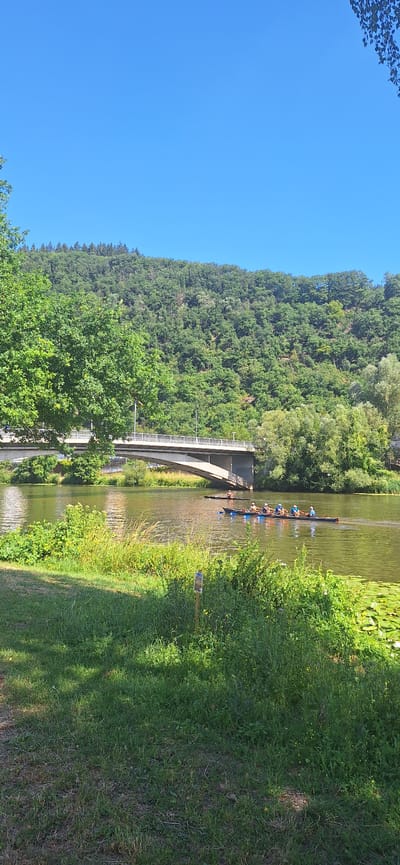 This is a landscape image of a river scene on a sunny day. The foreground features lush green grass with dappled sunlight, suggesting it is daytime. To the right, a dense forest covers a steep hillside. A modern concrete bridge arches over the river, connecting the two banks.
In the river, a group of people are participating in a rowing activity. They are in a long, narrow boat, and appear to be dressed in blue tops and white helmets, suggesting they are part of a team or club. Their posture indicates they are actively rowing. Further downriver, another, smaller boat with at least one person can be seen. The river itself is calm and reflects the surrounding greenery and the clear blue sky. The overall atmosphere is one of outdoor recreation and tranquility. The location is identified as Maaracker, Germany. There is no visible text in the image.