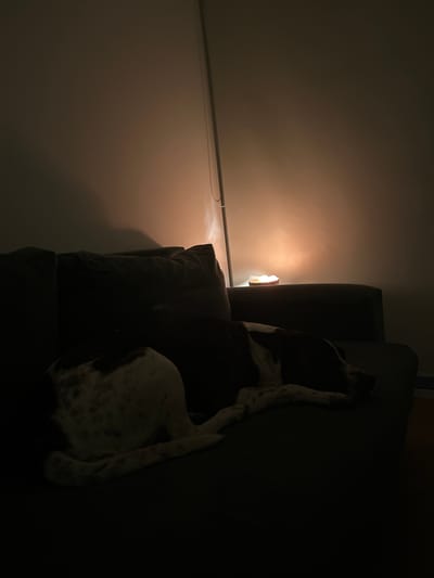 In an interior setting located in Villa San Andrés, Argentina, a medium-sized dog with a white coat patterned with dark patches is observed resting or sleeping on a dark-colored sofa. The dog is positioned with its body curled, its head facing towards the right side of the frame. The scene is dimly lit by a warm, orange-toned light source emanating from a small, dark bowl containing lighter objects (possibly candles or decorative stones) situated on a surface directly behind the sofa's backrest. This light projects upwards onto a plain wall, creating a soft glow and casting a shadow from the sofa. A metallic-link chain, likely part of a window covering mechanism, hangs vertically along the right edge of the frame. No human subjects are visible.