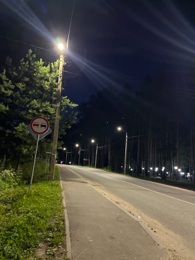 The image depicts a nighttime scene on a road in Nikolskoye, Russia, likely a suburban or park area, characterized by a paved road and a sidewalk flanked by a grassy verge. A tall pine tree is prominent on the left, with its branches illuminated by a streetlamp. On the right side of the road, a dense forest of tall, slender pine trees is visible, with numerous streetlights illuminating the area along the roadside.
A traffic sign, indicating "No Overtaking" for all vehicles, is mounted on a post near the sidewalk on the left. The sign features a red circle with a white background, displaying two cars, one red and one black, with a red diagonal bar across them.
The road itself is asphalt, with a distinct white line marking the lane. The sidewalk is concrete. The overall lighting suggests it is nighttime, with the streetlights casting a warm glow on the road and the surrounding trees. The sky is dark blue, indicative of night. There are no people visible in the image, and the scene appears to be quiet and devoid of activity. The environment is natural and somewhat rural, given the presence of dense forestation and the absence of urban structures.