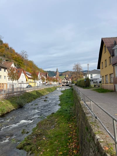 This image depicts a long-range, slightly elevated view of a river or canal flowing through the town of Oppenau, Germany, under a partly cloudy sky. The scene is oriented looking downriver towards the town center.

On the left side, the river is bordered by a paved area and a metal railing, beyond which a row of multi-story residential buildings with traditional pitched roofs (red, orange, white) line a street. Autumnal trees with yellow, orange, and green foliage are interspersed along the street and between buildings. A black sedan is partially visible parked on the street. A steep, forested hillside with dense autumn foliage (green, yellow, orange) rises immediately behind these structures.

The right side of the river features a stone retaining wall topped with a silver metal handrail in the foreground. Beyond this wall is a dirt or gravel path, flanked by green grass with scattered brown leaves. A prominent yellow-painted building with multiple windows and a dark brown tiled roof occupies the midground on this side, followed by a white building partially obscured by green hedging. A utility pole stands near the path.

In the mid-distance, a small weir or cascade creates turbulent water in the river. Further along the riverbank, a distinctive half-timbered building with a dark roof is visible. The central background features a prominent church tower with a dark, pointed steeple and an onion-shaped dome, rising above other buildings. Rolling hills with mixed evergreen and deciduous trees, displaying autumn colors, frame the distant background. No individuals or animals are present.