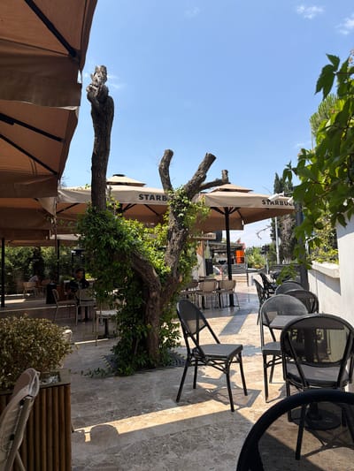 This image depicts an outdoor seating area at a Starbucks in Denizli, Turkey. The scene is characterized by several Starbucks-branded umbrellas providing shade over tables and chairs arranged on a marble-patterned paved surface. The area is bordered by a white wall and greenery, including a prominent tree with ivy growing on it, and other foliage. In the background, there are more trees and buildings, suggesting an urban environment. The sky is clear and blue, indicating a sunny day. Some tables and chairs are occupied by patrons, while others are empty. The overall atmosphere appears relaxed and typical of an outdoor cafe setting.
