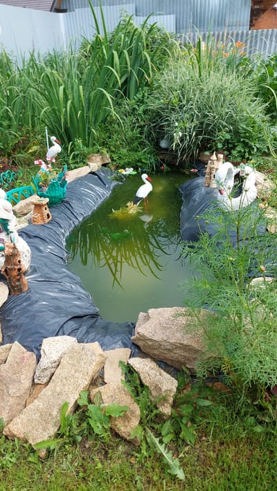 A garden pond in Tyubuk, Russia, is surrounded by lush green vegetation and decorative elements. The pond itself is lined with black plastic and filled with murky green water. A white decorative stork stands in the pond, its reflection visible beneath it. On the edge of the pond, there are miniature castles and a white swan ornament. The pond is bordered by large, rough-hewn stones, and in the foreground, grass and weeds grow. Behind the pond, a tall metal fence is visible.