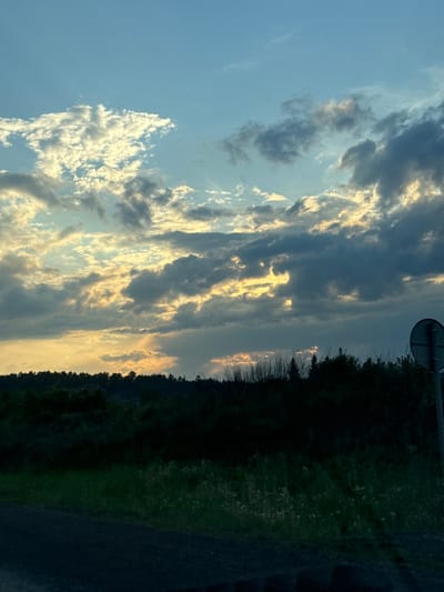 The image depicts a dusky landscape with a dramatic sky. The sky is filled with a mix of light and dark clouds, with patches of golden sunlight breaking through, suggesting either sunrise or sunset. Below the sky, a dense line of dark trees forms a silhouette against the horizon, indicating a forested or densely vegetated area. In the foreground, there is a dark, unpaved surface, possibly a dirt road or path, with some green grass and wildflowers growing alongside it. To the right of the image, a circular sign mounted on a pole is partially visible, suggesting a roadside location. The overall impression is one of a rural or semi-rural environment at dusk. The location is identified as Malaya Kuskunka, Russia. There are no people or animals visible in the scene.