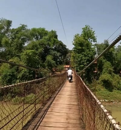 A person is riding a motorcycle across a wooden suspension bridge over a body of water. The bridge has metal cables and netting on the sides. Dense green foliage and trees surround the bridge. The sky is clear and blue. The scene appears to be in a rural area of Krong Battambang, Cambodia.