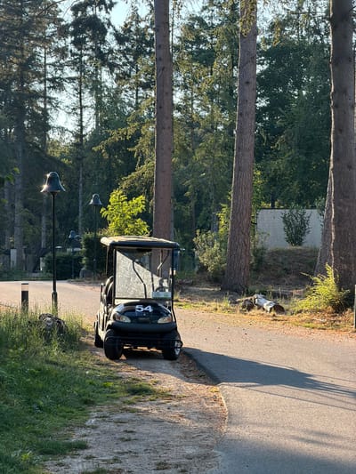 In the city of Heijen, Netherlands, a black golf cart with the number "54" prominently displayed on its front is parked on the right side of a paved road. The cart is angled slightly towards the camera, with its front wheels turned to the left. Tall, mature trees with rough bark form a dense forest that surrounds the scene, casting long shadows across the road. Sunlight filters through the trees, illuminating patches of the forest floor and the golf cart. To the left of the road, a grassy area with scattered rocks and a few small lamp posts with bell-shaped fixtures are visible. In the background, a light-colored, low-rise structure is partially obscured by foliage. The overall environment suggests a tranquil, outdoor setting, likely a golf course or a park area.