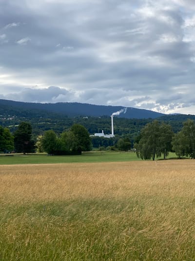 The image depicts a landscape with a power plant chimney in the background, located in the vicinity of Boudry, Switzerland. In the foreground, a field of tall, dry grass stretches across the lower half of the frame, transitioning to a neatly mown green lawn in the mid-ground. A cluster of deciduous trees is situated on the left side of the green lawn, with more trees and vegetation forming a dense forest that covers the rolling hills in the background. The power plant, a white cylindrical structure, is visible in the distance, emitting a plume of white smoke that drifts towards the cloudy sky. The sky is overcast, with a mix of grey and white clouds, suggesting a temperate or possibly rainy day. The overall scene conveys a rural or semi-industrial environment, with a blend of natural landscape and man-made structures. There are no people visible in the image.