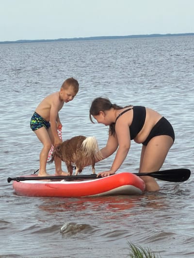 A low-angle, full shot captures three figures and a dog on a red and white stand-up paddleboard on a body of water. The water appears to be a lake or a calm sea, with a soft, blurry texture that suggests movement and possibly a slightly overcast sky. The scene is oriented vertically, with the paddleboard running from the bottom right to the top left of the frame.

On the paddleboard are two people and a dog. In the foreground, a young boy wearing blue and green patterned swim trunks is sitting with his legs extended. He is looking to his right and appears to be smiling, his head tilted slightly upwards. Next to him, and positioned behind him, is a dog with shaggy, light brown fur. The dog's head is down, obscuring its face, but its posture suggests it is lying down or leaning forward. Behind the dog, a woman in a black bikini is performing a yoga pose, upside down with her legs and torso arched. Her head is down, and her hands are braced on the paddleboard. She is holding onto a black paddle.

The paddleboard is red on the top and white on the bottom. The water itself is a pale gray-blue, with faint ripples and streaks running horizontally across the frame. The texture of the water and the blurred background give a sense of a natural, outdoor environment, possibly a lake or a calm coastal area. The lighting is soft and diffused, suggesting it could be daytime, but not necessarily bright sunlight. There is no visible text in the image. The overall mood appears to be relaxed and playful, with the yoga pose and the presence of a child and a dog on the paddleboard.