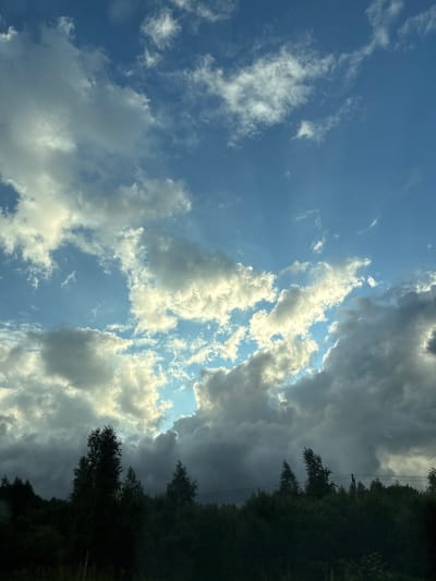 A landscape photograph depicts a dark, dense tree line across the bottom of the frame, against a bright blue sky filled with dramatic, illuminated clouds. The trees are silhouetted against the sky, obscuring any details of the ground or structures within the forest. The clouds range from dark and heavy on the right side of the frame to bright and wispy on the left, with shafts of sunlight breaking through the gaps. The overall impression is one of a turbulent sky over a darkened landscape, potentially indicating an approaching storm or the aftermath of one. The location is the city of Zalesnaya, Russia. There are no people or specific objects readily identifiable within the scene.