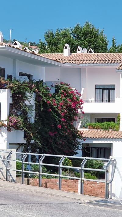 A side-view, medium shot captures the facade of a white, multi-story building with a tiled roof in Cadaqués, Spain. The building features several windows, some with dark frames and curtains, and balconies. Lush green foliage with bright pink bougainvillea flowers cascades down the side of the building. A metal railing with vertical supports runs along the foreground, parallel to a sloping paved surface. Behind the railing, a low brick wall is visible, with numbers "6" and "7" painted on it. Trees with green leaves are present in the background, and the sky is a clear blue. The scene appears to be an exterior view of a residential or commercial property.