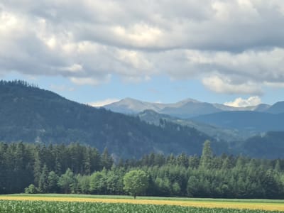 The image depicts a panoramic view of a mountainous landscape in Hetzendorf, Austria. In the foreground, there are fields of crops, one appearing yellow and the other green. A line of dense green trees forms a middle ground, with a single, rounded green tree standing out amongst them. Behind the trees, a series of rolling, forested mountains rise, layered in shades of dark green and blue. The furthest mountain range is a hazy blue, indicating distance. The sky above is partly cloudy, with large, soft white clouds interspersed with patches of blue sky. The overall impression is one of a serene, natural environment.