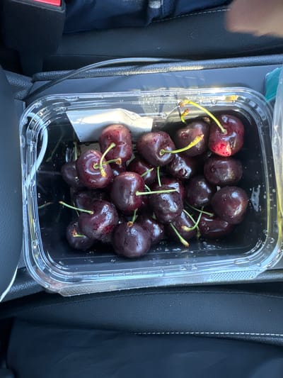 In San Mateo, United States of America, a clear plastic container filled with dark red cherries is positioned on a black surface, likely a car's center console. The container is transparent, revealing the wet surface of the cherries and the dark interior of the container. A white paper or label is partially visible beneath the cherries. To the left, a black car seat or interior component with a red buckle is present. The background is dark and out of focus, suggesting an indoor or shaded environment. The lighting appears to be natural sunlight, casting subtle reflections on the cherries.