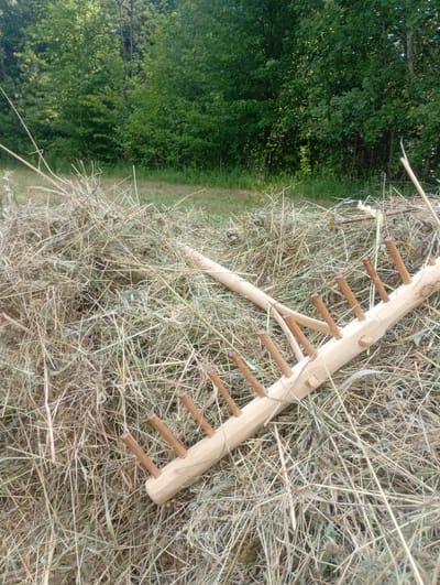 A handmade wooden rake lies on a pile of dry hay, with a backdrop of green trees. The rake has a long handle and a head with several wooden tines. The hay is matted and straw-like, suggesting it has been cut and left to dry in the sun. The trees in the background are dense and leafy, indicating a wooded area, possibly a forest or a field bordering a forest. The overall scene evokes a rural or agricultural setting, likely in Zadebri, Ukraine. The lighting suggests it is daytime, with the sun casting shadows and highlighting the textures of the hay and the rake. No people are visible in the image. The weather appears to be fair, conducive to drying hay. The image is a still shot, and there is no indication of any specific activity other than the hay being prepared or stored. There is no visible text in the image.