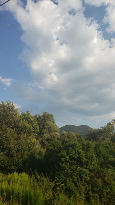 The image depicts a scenic view of the sky and a forested landscape. The sky is partly cloudy with large white cumulus clouds against a bright blue background. A thin, white contrail from an aircraft is visible stretching across the upper right portion of the sky. Below the sky, a dense, green forest stretches across the middle and lower portions of the frame. The trees are varied in height and foliage density, with some appearing to be deciduous and others coniferous. In the distance, a rolling, tree-covered hill or mountain range is visible, its contours softened by the atmospheric perspective. The foreground consists of a dense growth of green foliage, likely grass and smaller plants, with some hints of wildflowers and dry grass. The lighting suggests it is daytime, with the sun casting light from the upper right, illuminating the clouds and the tops of the trees. The scene evokes a sense of natural tranquility. The location is specified as Švošov, Slovakia, implying this is a view from that region.