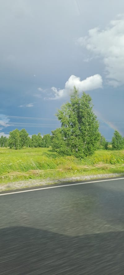 This image captures a wide landscape view from a moving vehicle, likely on a road, given the blurred asphalt in the foreground. The scene is dominated by a vast, green, grassy field stretching into the distance, dotted with various trees. A prominent, large, deciduous tree with lush green foliage stands centrally in the frame, to the right of a line of smaller, more densely packed trees in the background. The sky is a mix of dramatic dark storm clouds and brighter patches with scattered white clouds. A faint rainbow arc is visible in the upper right quadrant of the sky, suggesting recent or ongoing rainfall. There are also horizontal lines, possibly power lines, visible across the sky. The overall impression is one of a rural or semi-rural setting, possibly near the city of Ulytau, Kazakhstan, given the mention of Ulytau rural district. There are no people or animals visible in the image.
