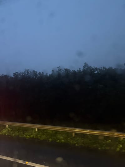 This image captures a dimly lit scene from a roadside perspective. The foreground features a dark asphalt road with a yellow line marking its edge, and a golden guardrail runs parallel to it. Beyond the guardrail, lush green vegetation is visible. Further in the background, a dense forest of trees with dark foliage is shrouded in mist, creating a sense of depth and obscurity. The sky above is a muted, overcast blue, suggesting it may be dawn, dusk, or a heavily clouded day. The overall atmosphere is serene and somewhat mysterious due to the low light and fog. The location is specified as the city of Long Thành, Vietnam.
